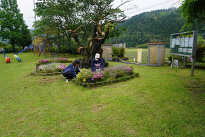 Dsc03703