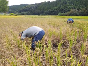 Img_4522 Img_4522