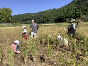 Img_4782_1 Img_4782_1